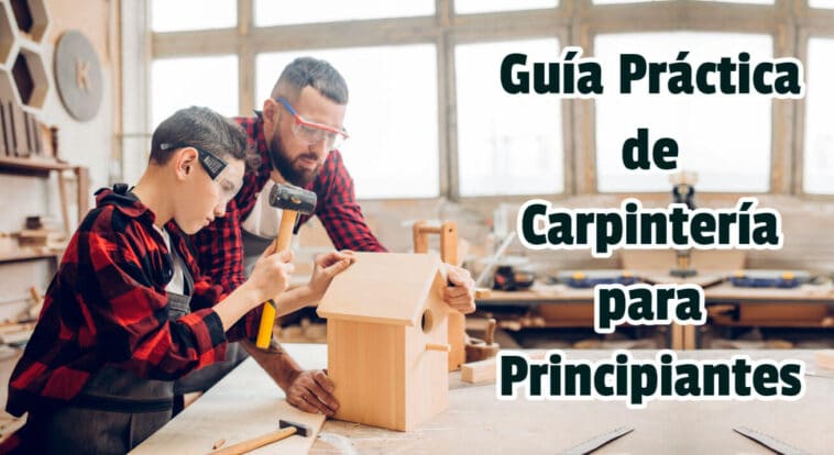Guía Práctica de Carpintería para Principiantes - Manuales PDF Online